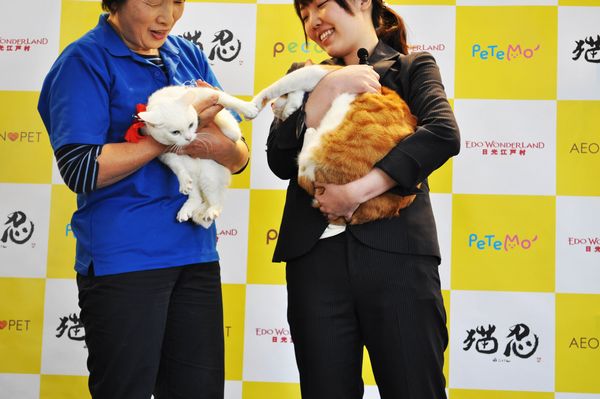「猫忍」猫の日イベントオフィシャル写真6