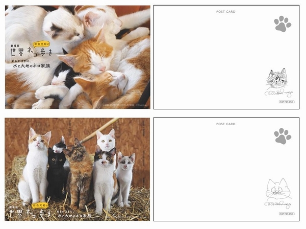 岩合光昭 猫のポストカード3枚 - 通販 - olgapuri.org