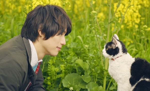 『旅猫リポート』場面写真