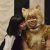 【2月22日（金）正午解禁】『トラさん～僕が猫になったワケ～』配信用画像