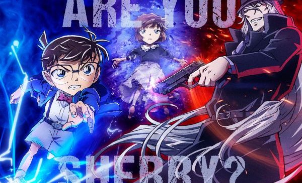 デュエルビジュアル