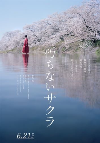 【2月3日(土)AM8時解禁】映画『朽ちないサクラ』ティザービジュアル