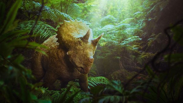 【要クレジット＞©BBC STUDIOS 2025】Ep1_トリケラトプス_電子透かしあり