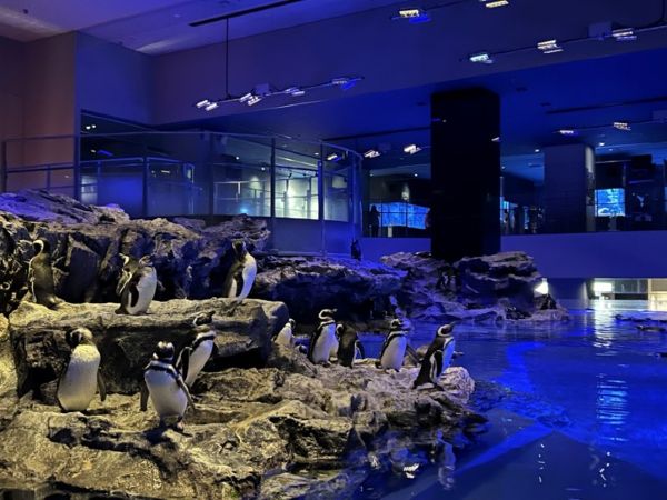 水族館