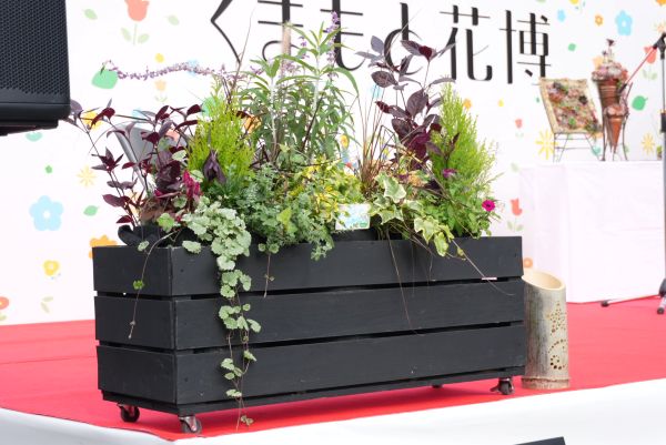 11月15日（土）から閉幕まで展示【寄せ植え】