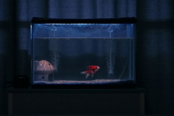 TAKN_0010_7R400101_sRGB