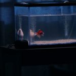 TAKN_0477_7R400363_sRGB