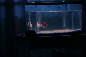 TAKN_0477_7R400363_sRGB