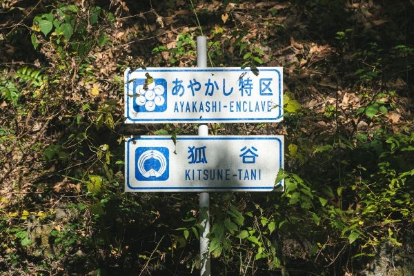 【12月22日(月)正午 解禁】映画『鬼の花嫁』場面写真-4