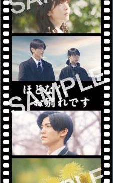 入場者プレゼント「オリジナルフィルム風しおり」画像