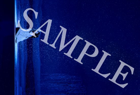 第２弾入場者プレゼント画像③