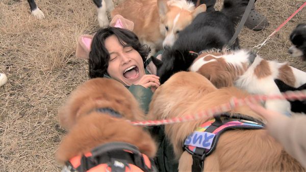 わんちゃんに囲まれる佐野